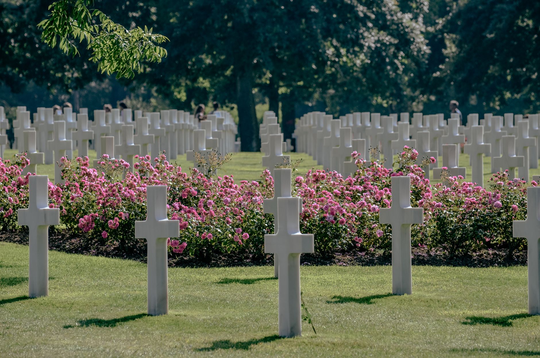 Causes of World War 2: 10 Shocking Events That Ignited Global Chaos