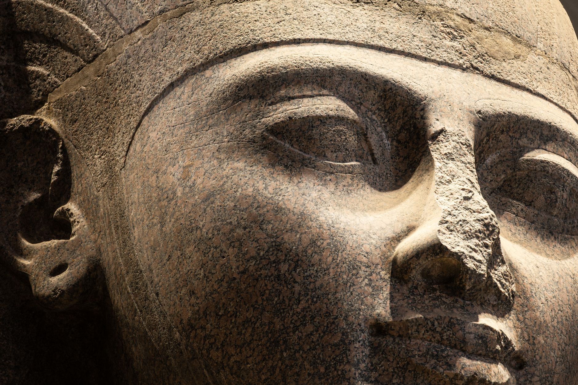 Cleopatra Beautiful or Smart? The Truth Behind the Myth