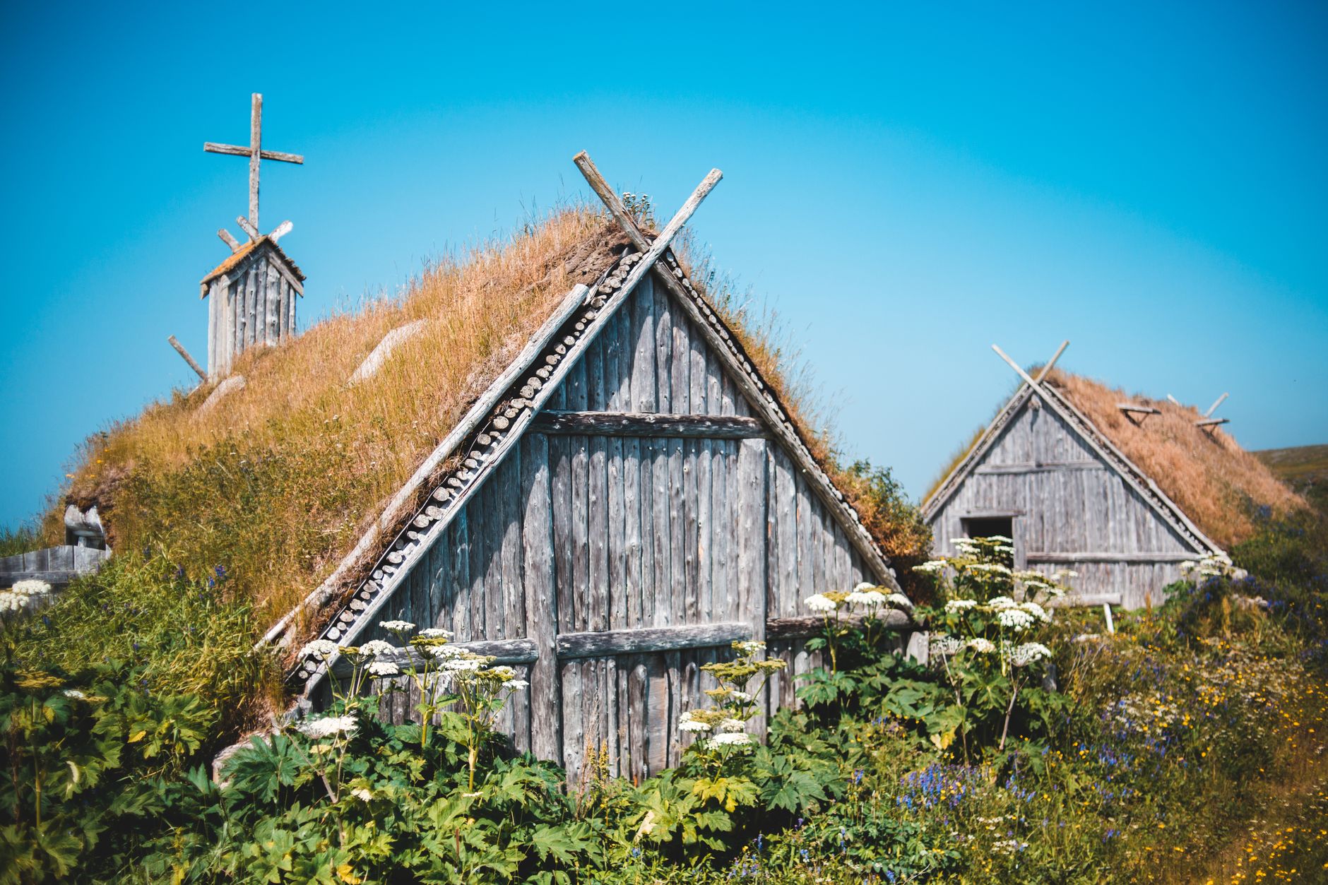 Unveiling the Viking Age: Secrets Revealed — What Nobody Tells You